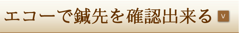 エコーで鍼先を確認できる