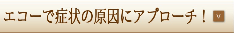 エコーで症状の原因にアプローチ