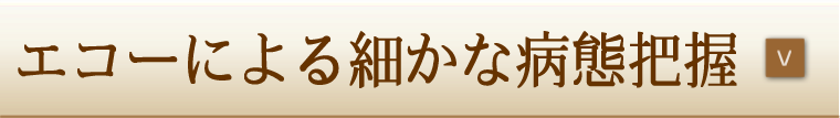 エコーによる細かな病態把握